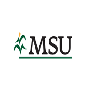 MSU