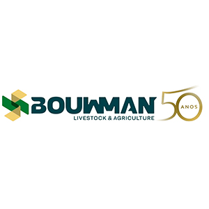 Bouwman
