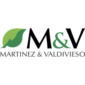 Martínez y Valdivieso