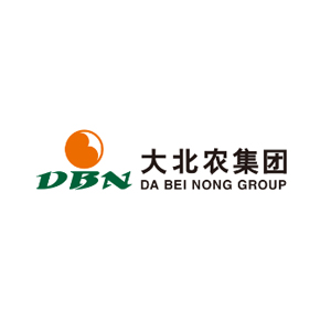 DBN Group