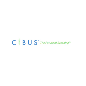 Cibus