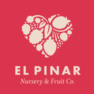 El Pinar 