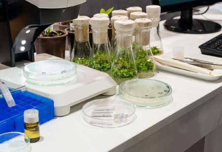 The Growing Role of Agricultural Biotechnology Companies in Shaping the Future of Agribusiness The Growing Role of Agricultural Biotechnology Companies in Shaping the Future of Agribusiness