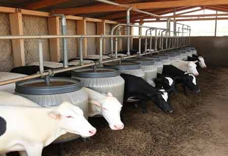Agri Business Review