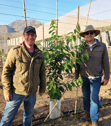 Anibal Schurter, Global Ag Supply | Agri Business Review | Most Trusted Agri-Innovation and Fruit Genetics Company in Latin America