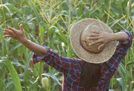  Thalib Imtiaz, Chief Executive Officer, Crysbro | Agri Business Review