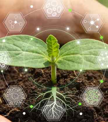 Jidong Zhai, Kingenta Ecological Engineering Group Co., Ltd | Agri Business Review | Top 10 Biostimulant Companies apac