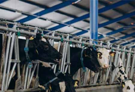 Agri Business Review