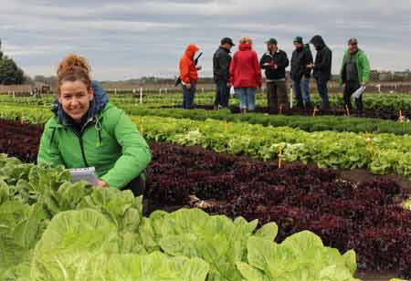Frances Tolson, Product Development Manager, Rijk Zwaan | Agri Business Review