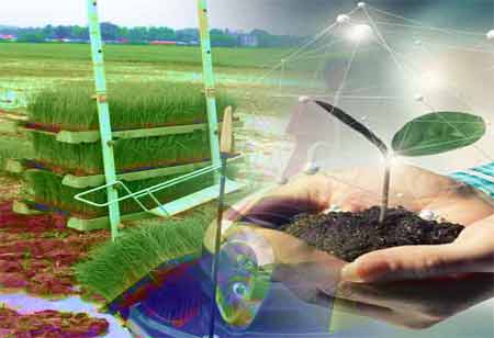 Agri Business Review