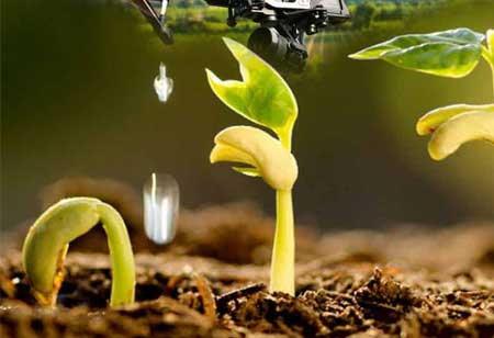 Agriculture can be more cost-effective, smart, and sustainable by adding technology