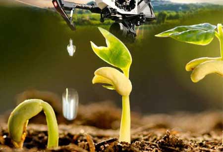 Agriculture Is Being Transformed By Data Analytics