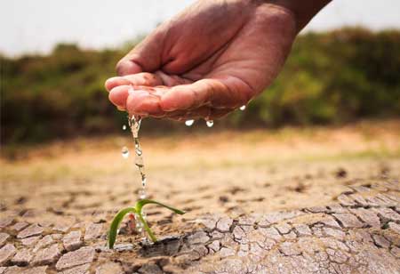 Tatsuya Sato, Sustainable Agriculture Manager, Nichirei Corporation | Agri Business Review