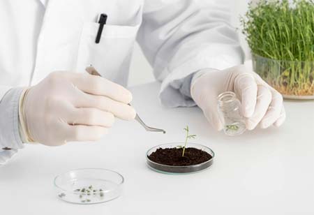 Soil Micronutrient Analysis for Agronomic Innovation