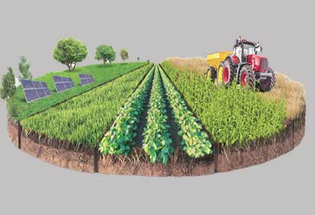 Export-Ready Agribusiness: Strategies for Scaling in Global Markets in APAC 