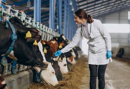 Diagnostics as the Cornerstone of Herd Resilience in Modern Livestock Production