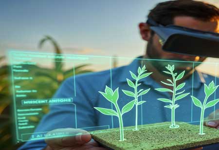 The Strategic Role of Insurance in Modern Agribusiness