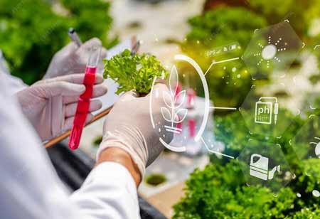 Harnessing Biotechnology for Supply Chain Optimization in Agri-Food Systems