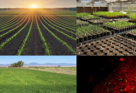 BioConsortia Closes Financing to Accelerate Launch of Next-Generation Nitrogen-Fixing Biofertilizer and Fuel Global Expansion