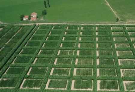 Agronomic Field Trial Analysis Software for Modern Research Programs Agronomic Field Trial Analysis Software for Modern Research Programs
