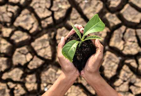 The Urgent Need for Advanced Soil Sampling: Combating Global Soil Degradation