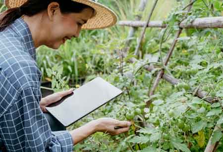 Translating Research on Organic Phosphates into Field Practices