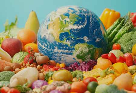 AI's Role in Optimizing the Soft Commodity Supply Chain