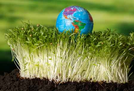 The Soil Intelligence Era: A Strategic Shift in Agribusiness Thinking