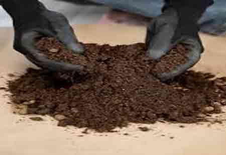 Addressing Global Soil Degradation Through Advanced Soil Sampling Techniques