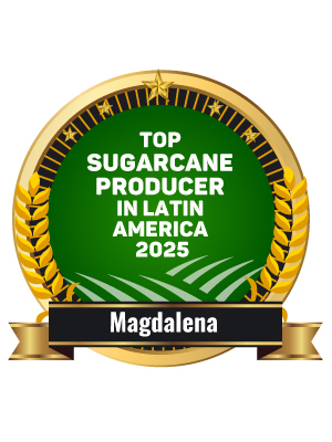 Top Sugarcane Producer in Latin America 2025